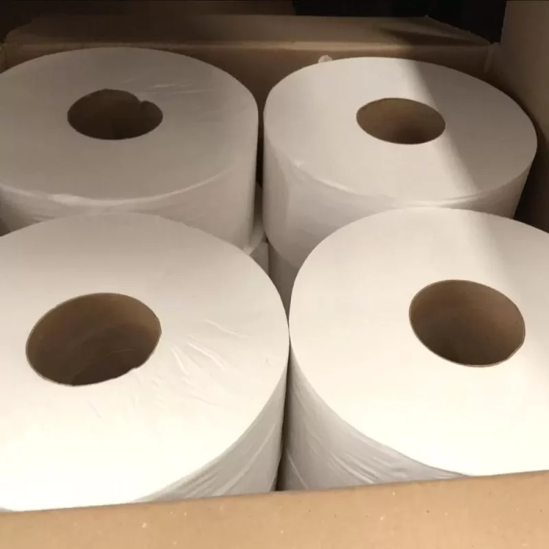 Papel Higiênico 100% Celulose 300 Metros - C/8 rolos